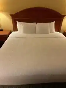 Orlando Palms - 43
