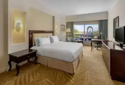 Hilton Alexandria Green Plaza - 30