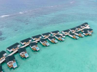 Joy Island - 30