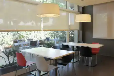 Ibis Cornella - 16