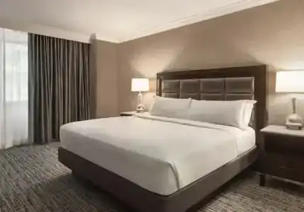 Hilton Downtown - 73