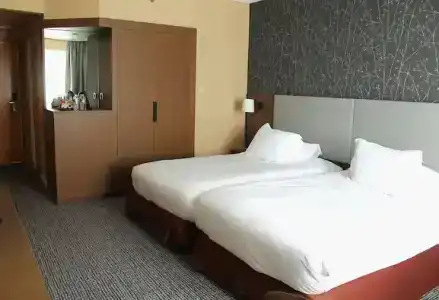 Hilton Paris Charles De Gaulle Airport - 36