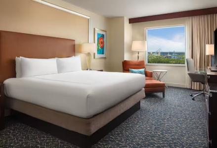 Hilton Orlando - 41