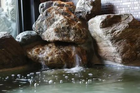 Dormy Inn Kofu Marunouchi - 19