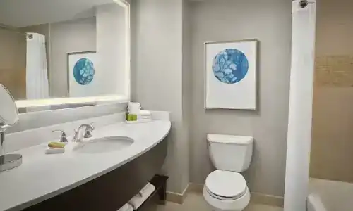 Signia by Hilton Orlando Bonnet Creek - 41
