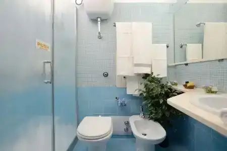 Oasis - 9