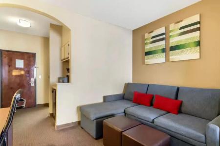 Comfort Suites Bush Intercontinental Airport - 31