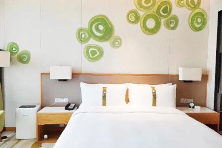 Holiday Inn Chengdu Qinhuang, An Ihg - 53