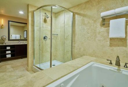 DoubleTree by Hilton Houston Intercontinental Airport - 65