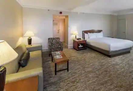 Hilton Netherland Plaza - 73