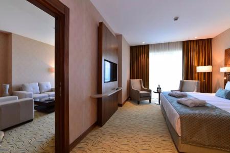 Clarion Istanbul Mahmutbey - 40