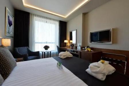 Holiday Inn Bursa - City Centre, An Ihg - 93