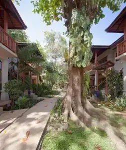 Malibu Koh Samui Resort & Beach Club - Sha Extra Plus - 15