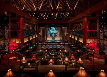 Dream Hollywood - 17