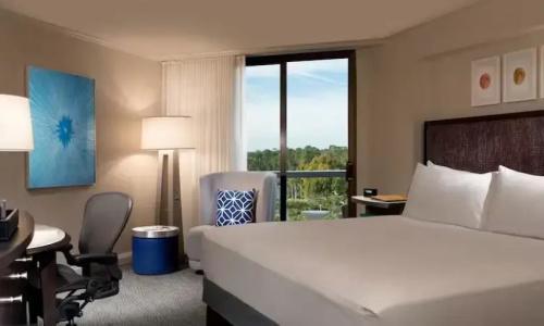 Hilton Orlando Buena Vista Palace - Disney Springs Area - 49