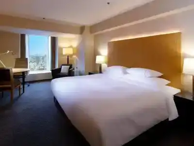 Sheraton Miyako Osaka - 12