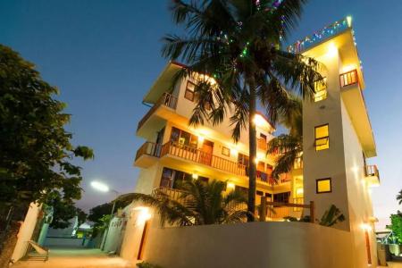 Tropic Tree Maldives - 26