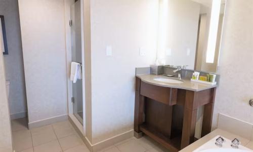 Hilton/ Fallsview and Suites - 83