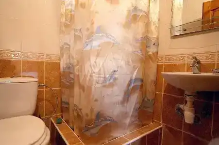 Смерековый Двор - 3