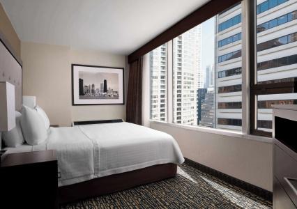 Homewood Suites Chicago Downtown - Magnificent Mile - 52