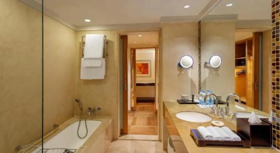 Itc Maurya, a Luxury Collection, New Delhi - 29
