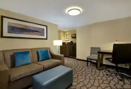 Embassy Suites by Hilton/ Fallsview - 76