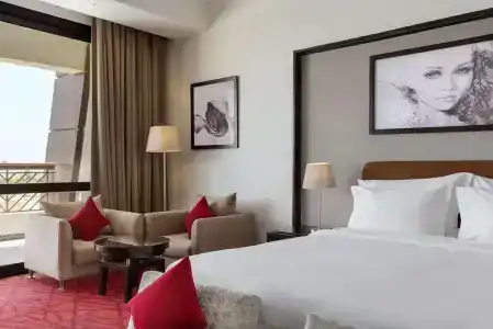 Radisson Blu Alexandria - 32