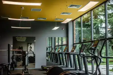 Lopota Lake Resort & Spa - 14