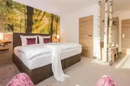 Tri- Wellnessam Schweizer Wald - 44