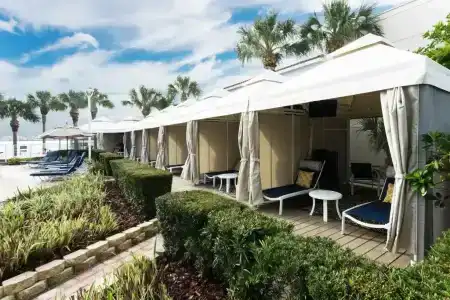 Clearwater Beach Marriott Suites on Sand Key - 20