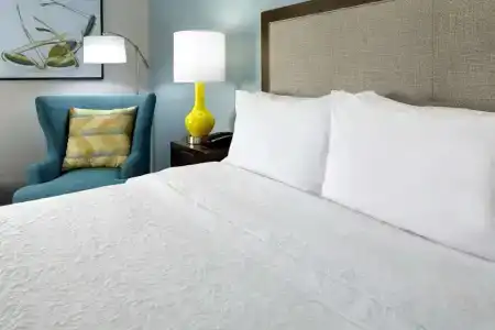 Hampton Inn Orlando Near Universal Blv/International Dr - 42
