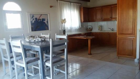 Contessa - 294