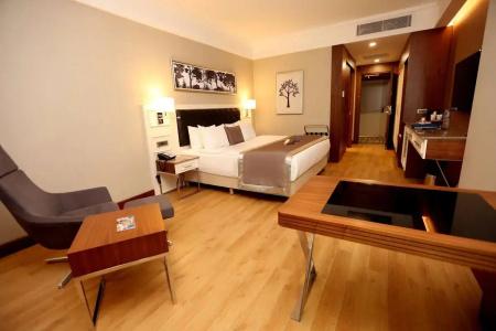 Radisson Blu, Diyarbakir - 25