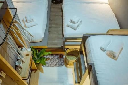Zeds - 26