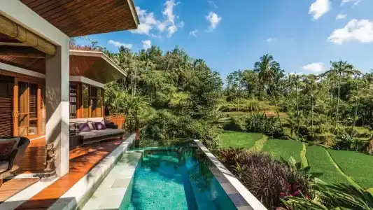 Four Seasons Resort Bali at Sayan - 45