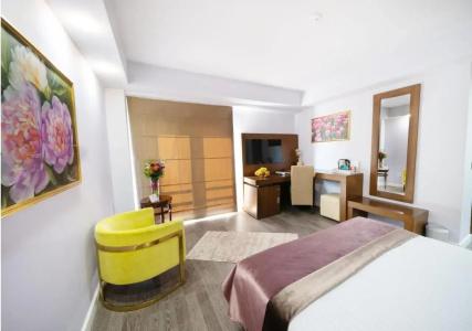 Phoenicia Comfort - 25