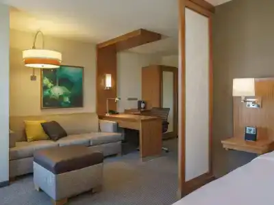 Hyatt Place Houston Galleria - 46
