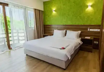 Olive Goidhoo - 2