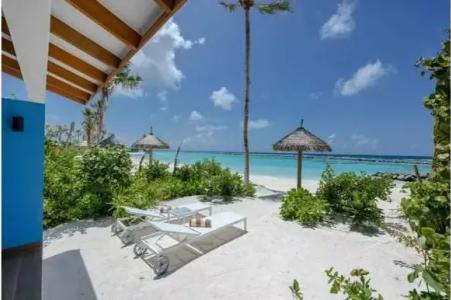 Joy Island - 57