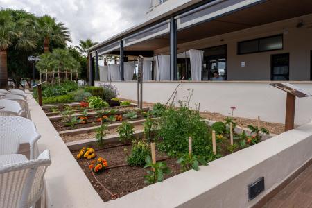 Cala Millor Garden - Adults Only - 44