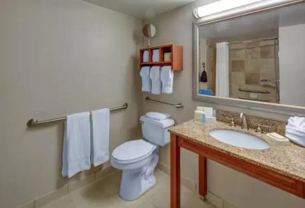 Hampton Inn Miami-Coconut Grove/Coral Gables - 65