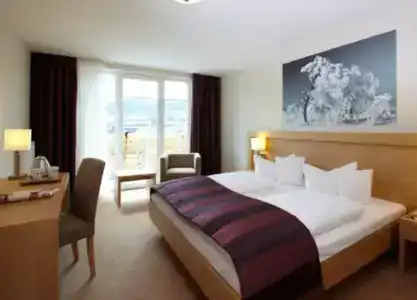 Best Western Plus Willingen - 51