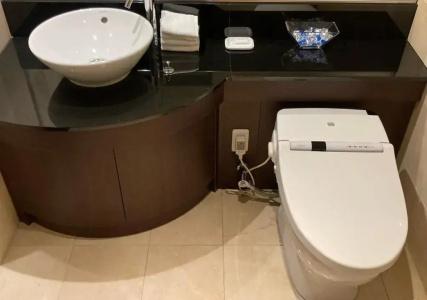 Ana Crowne Plaza Okayama, An Ihg - 18