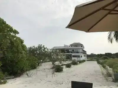Olive Goidhoo - 9