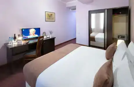 Ani Central Inn - 67