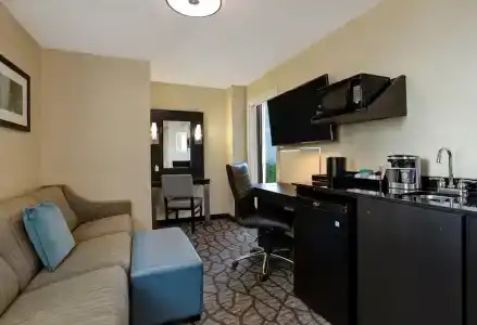 Embassy Suites by Hilton/ Fallsview - 84