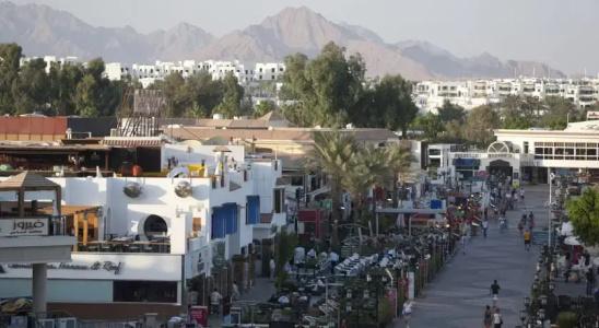 Camel Dive Club & - Boutique - 18