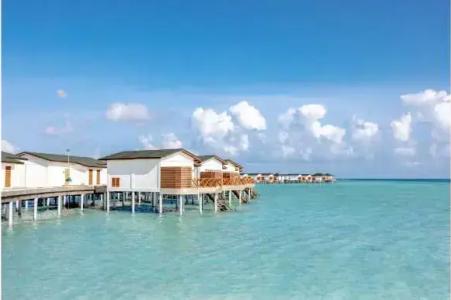 Joy Island - 42