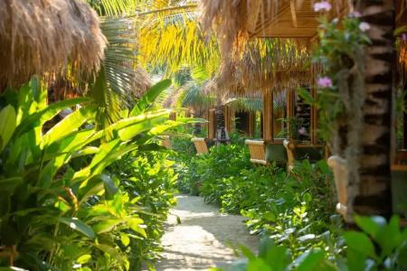 Phi Phi Coco Beach Resort - Sha Extra Plus - 12