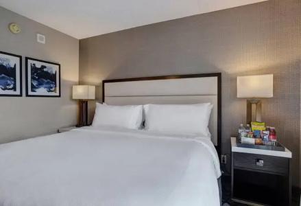Embassy Suites by Hilton Seattle - 29